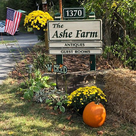 Bed and Breakfast The Ashe Farm Marshall Екстер'єр фото