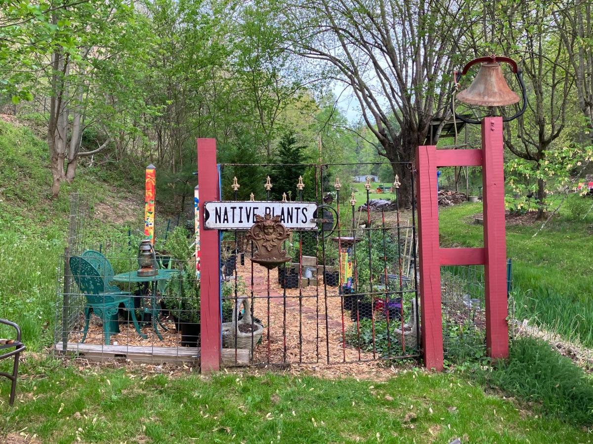 Bed and Breakfast The Ashe Farm Marshall Екстер'єр фото