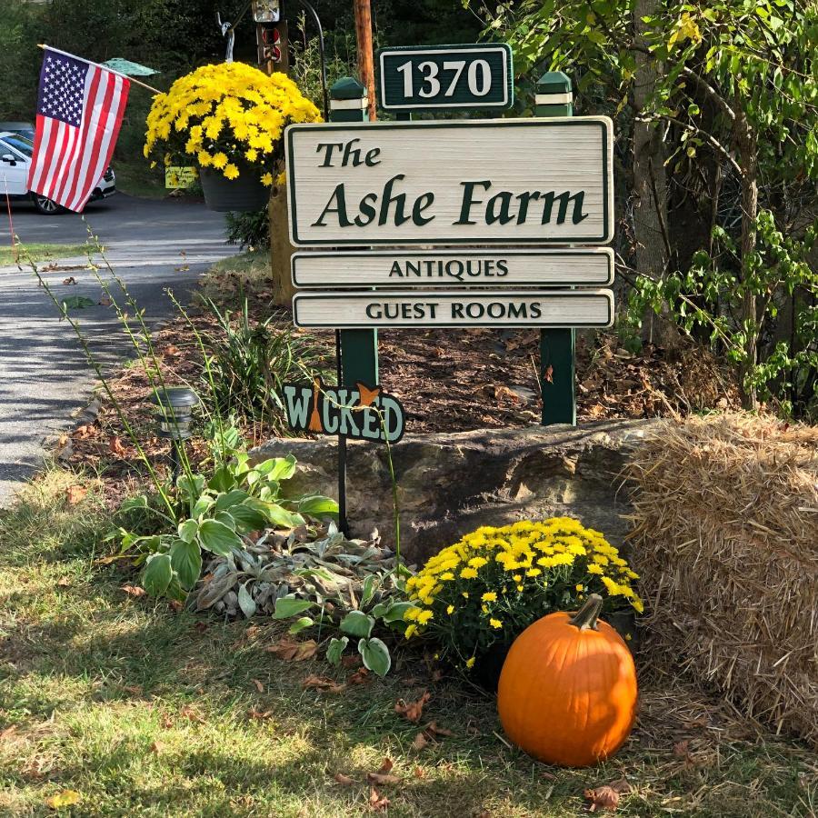 Bed and Breakfast The Ashe Farm Marshall Екстер'єр фото